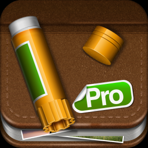 BridgingApps.com