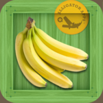 Flashcards for Kids - First Food Words App