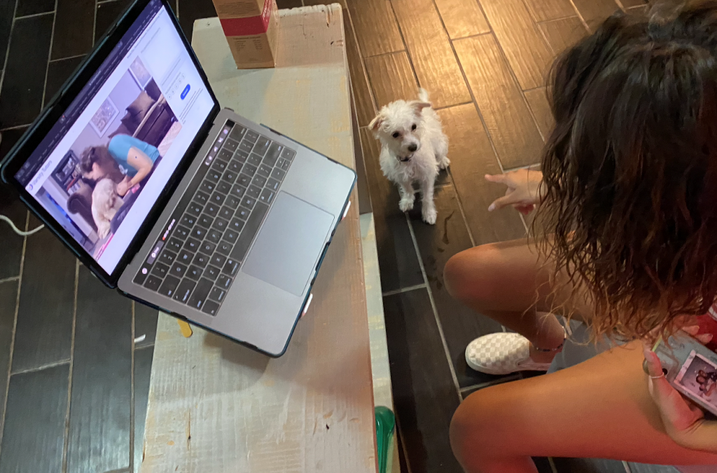 Girl watching dog training video on laptop and pointing to dog sitting on the floor by her
