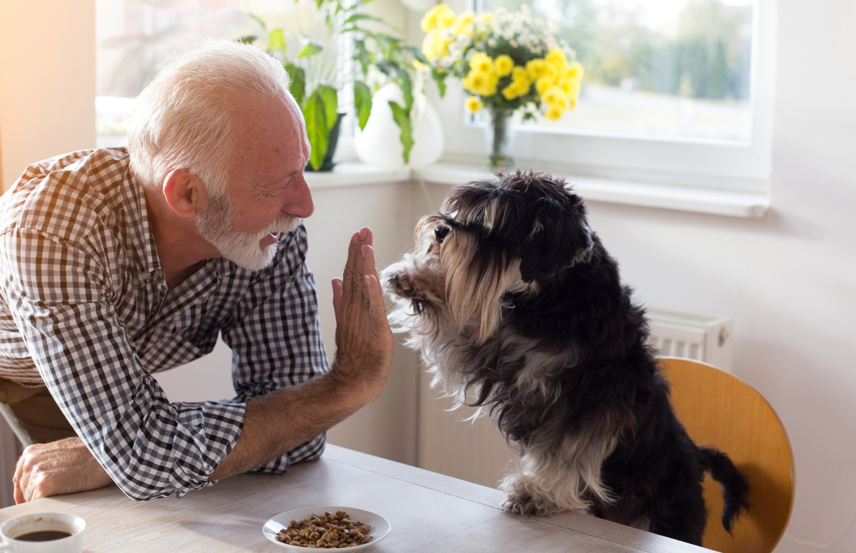 older adult man giving a high five to his dog