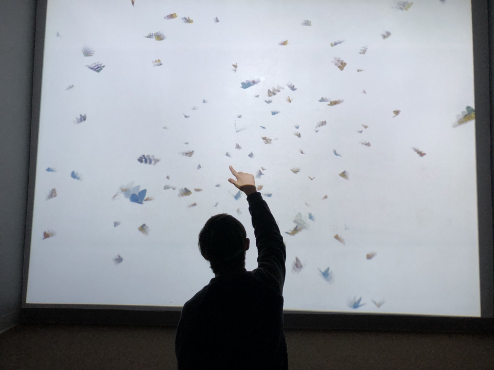 Visitor backlit against a wall of butterfly projections in Sensory Village