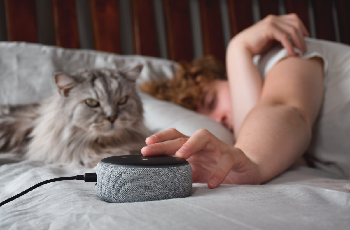 young man laying in bed with hand on amazon alexa with grey cat looking