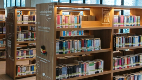 in person library shelves