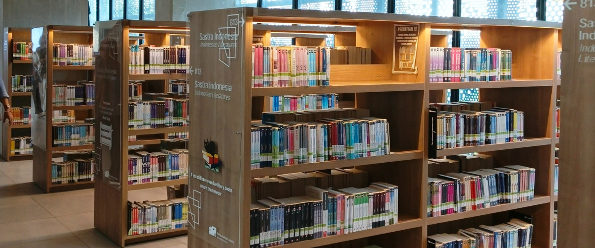 in person library shelves